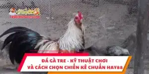 Đá Gà Tre - Kỹ Thuật Chơi Và Cách Chọn Chiến Kê Chuẩn Hay88
